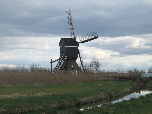 P1350704hoornaar_z