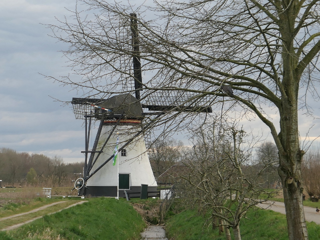 P1350708alblasserdam_z