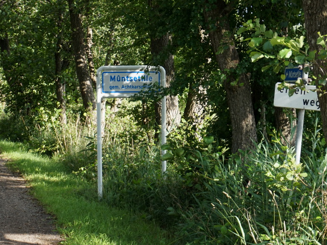 DSC08706muntsetille_w