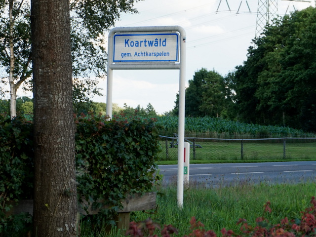 DSC08720koartwald_w