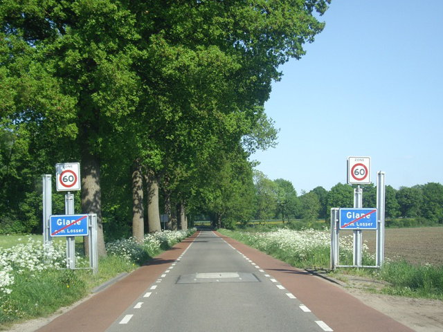 IMGP4875glane