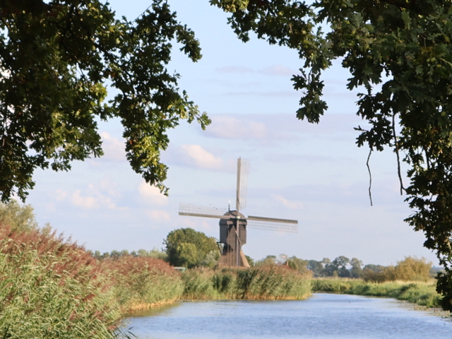 IMG_3753molenaarsgraaf_z