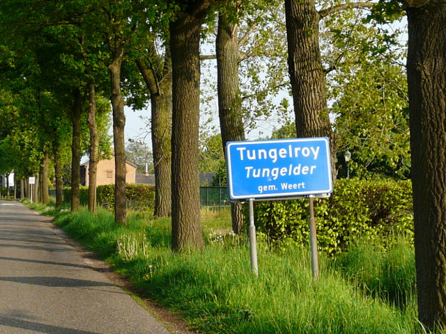 P1050679tungelroy