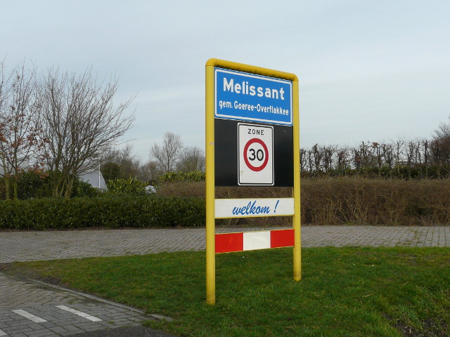 P1120665melissant