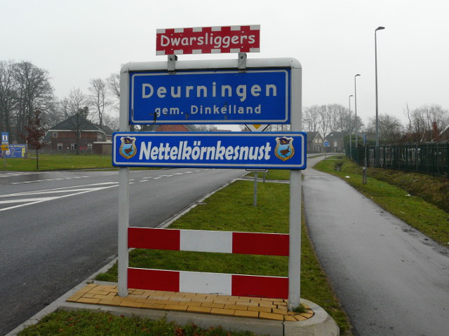 P1120950deurningendwarsnettel