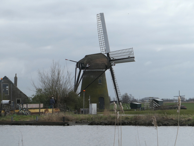 P1350723rijpwetering_z