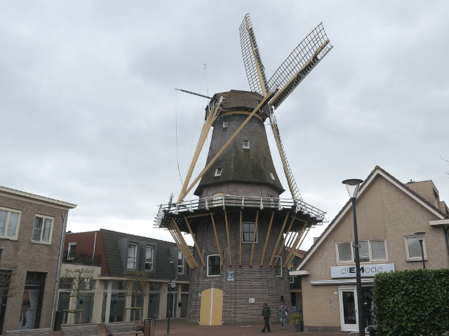 P1350741aalsmeer_z
