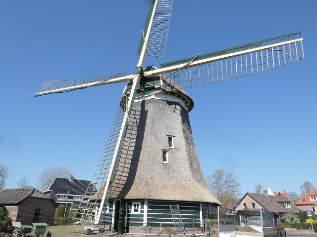 P1350863laren_z