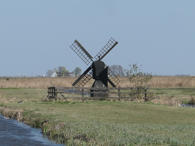 P1350875zaandam_z