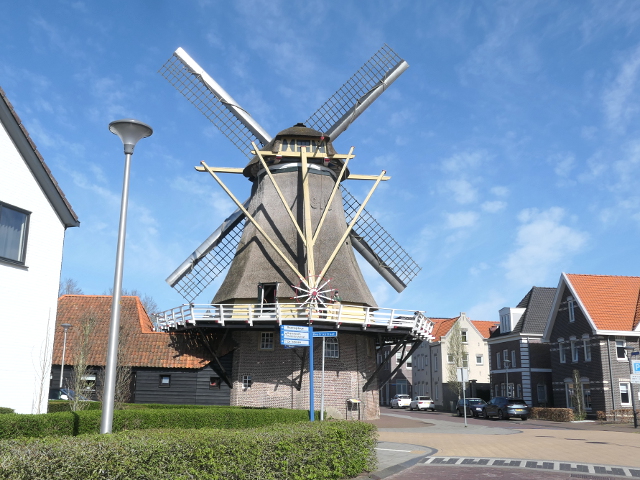 P1350934dalfsen_z