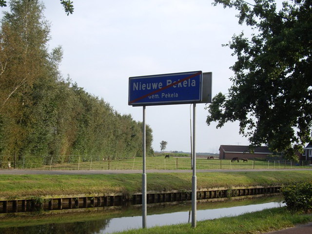 IMGP9529nieuwepekela