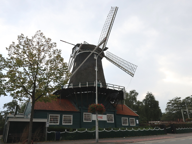 IMG_4809amstelveen_z