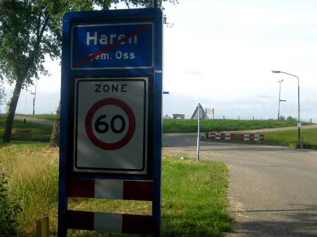 IMG_9429harenoss