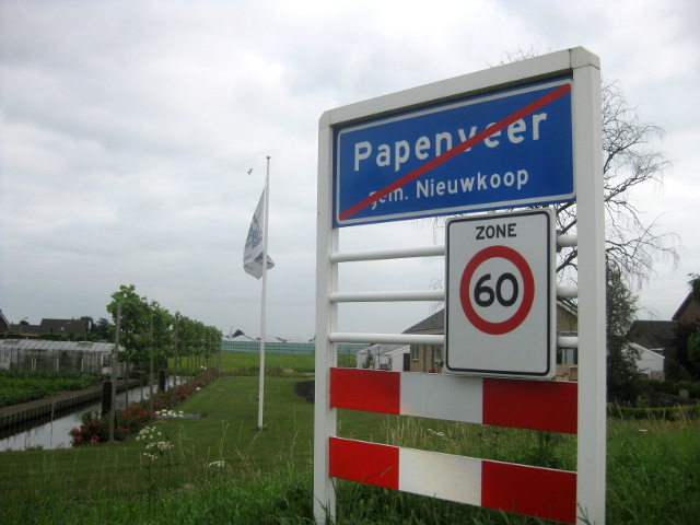 IMG_9491papenveer