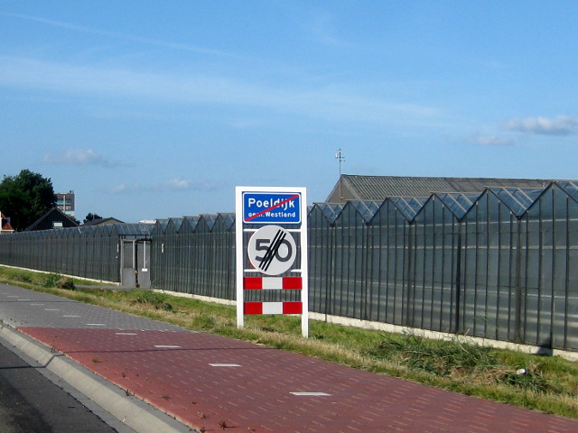 IMG_9845poeldijk