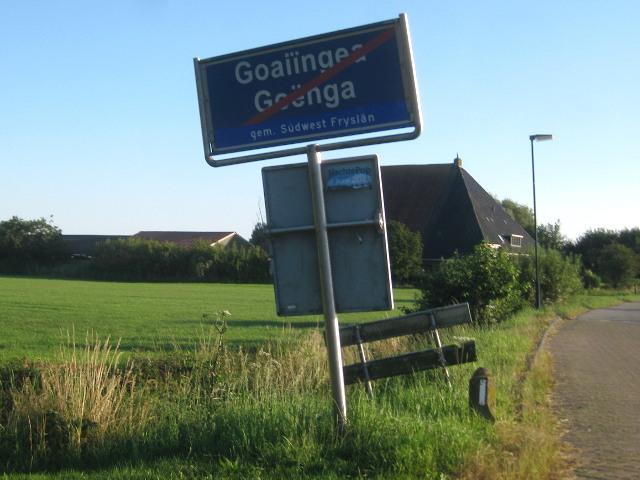 IMG_9995goaiingea