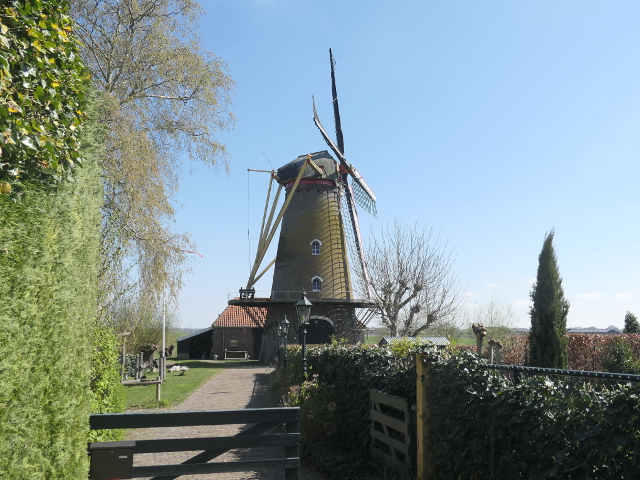 P1360016hoogezwaluwe_z