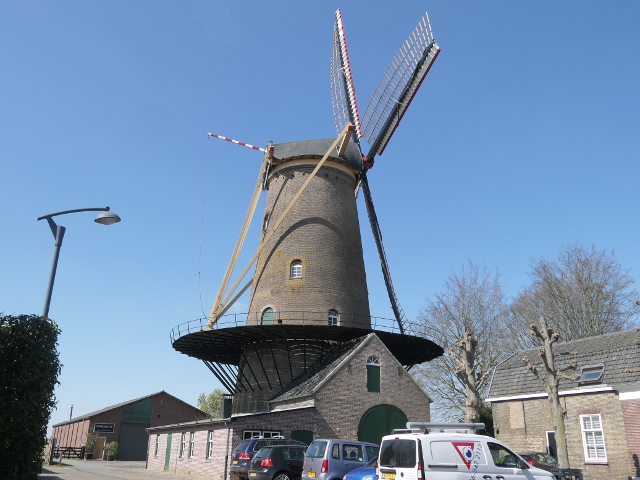 P1360029dongen_z