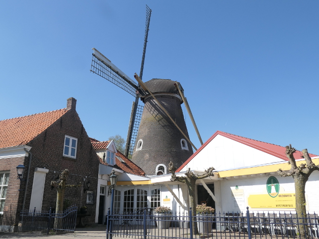 P1360037drunen_z