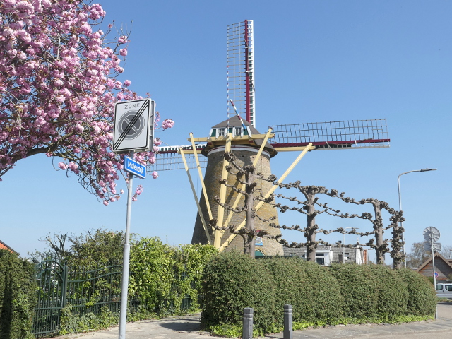 P1360100nieuwetonge_z