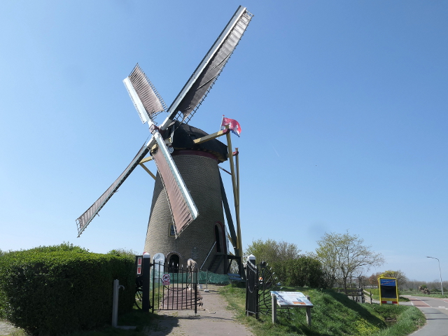 P1360110goedereede_z