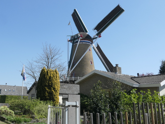 P1360112ouddorp_z