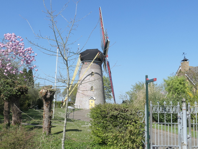 P1360137hoedekenskerke_z