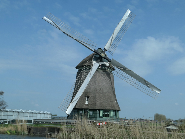 P1360192hensbroek_z