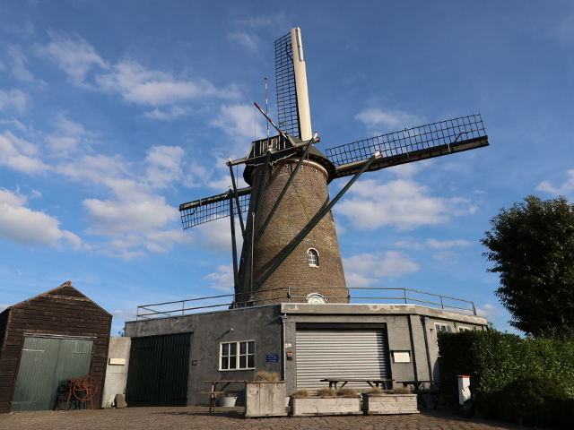 IMG_4861wouw_z
