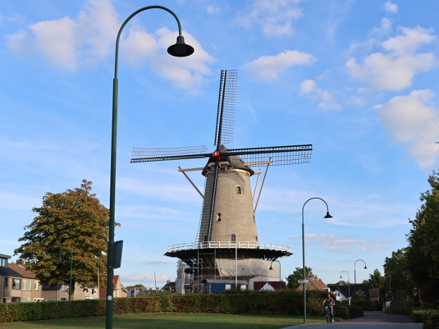 IMG_4866ettenleur_z