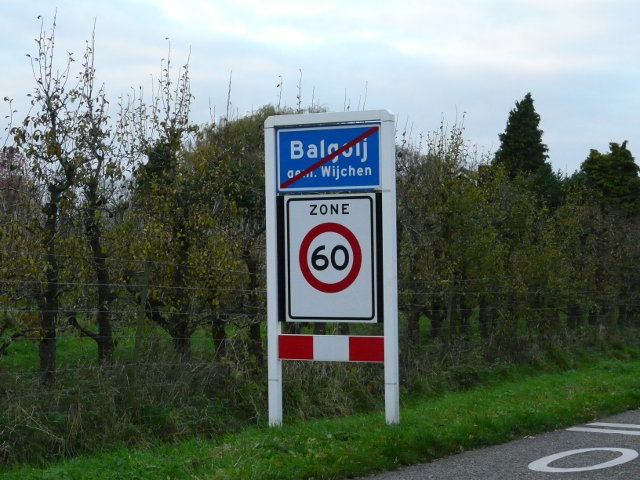 P1010758balgoij