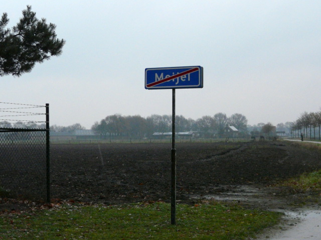 P1010926meijel