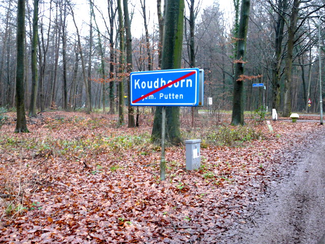 P1020128koudhoorn