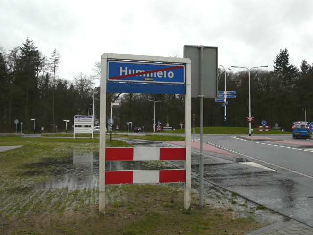 P1020201hummelo