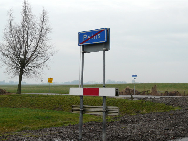P1020248peins