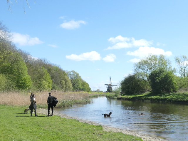 P1360334leeuwarden_z