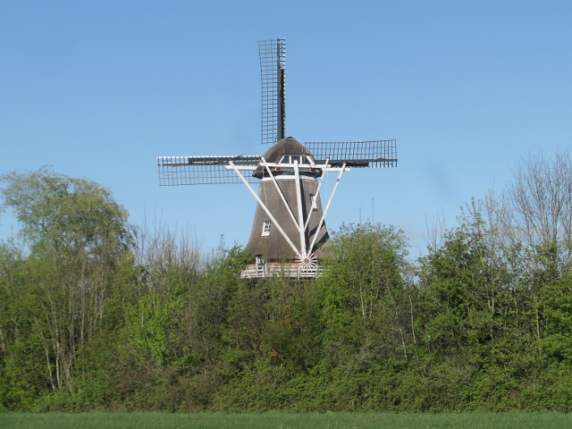 P1360373sumar_z