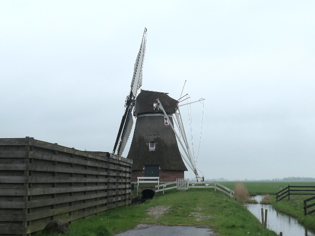 P1360378grijpskerk_z