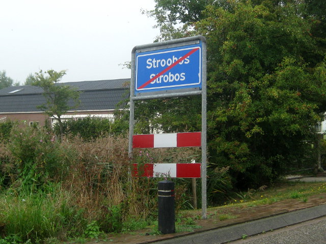 IMG_2253stroobos