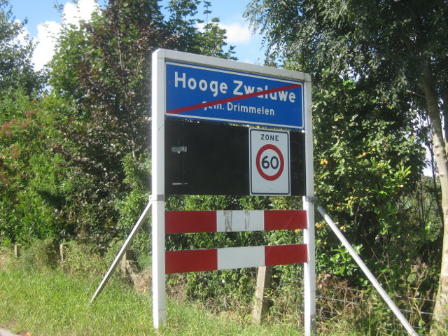 IMG_2302hoogezwaluwe