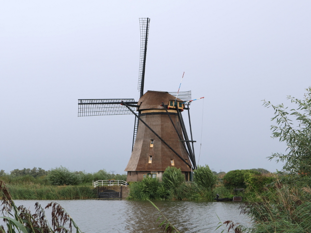 IMG_3999over1