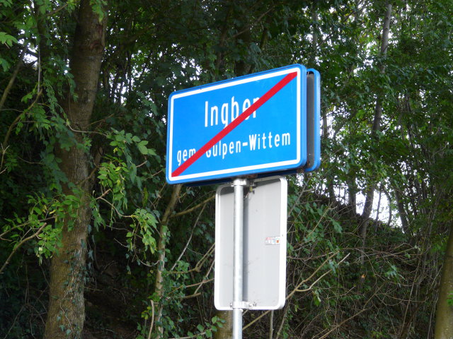 P1000199ingber