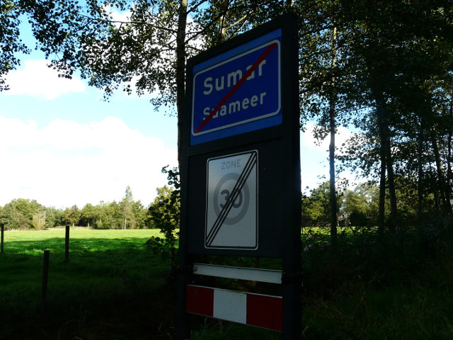 P1000436sumar