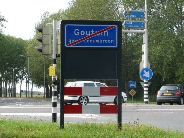 P1000453goutum