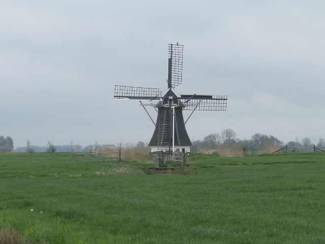 P1360403westergeest_z