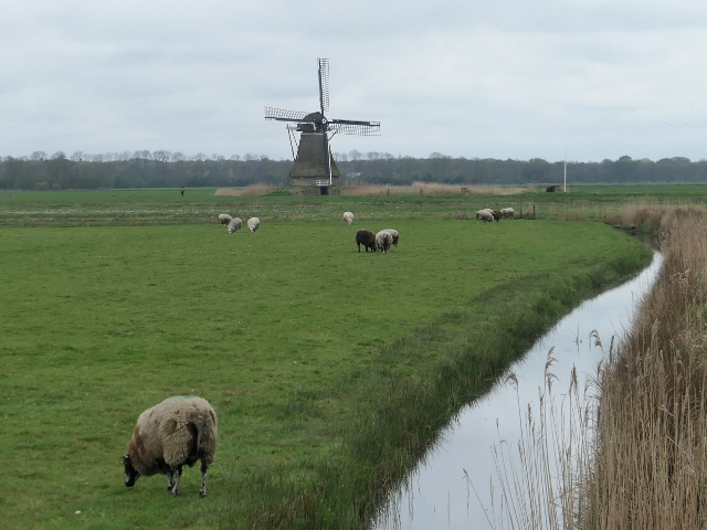 P1360415roodkerk_z