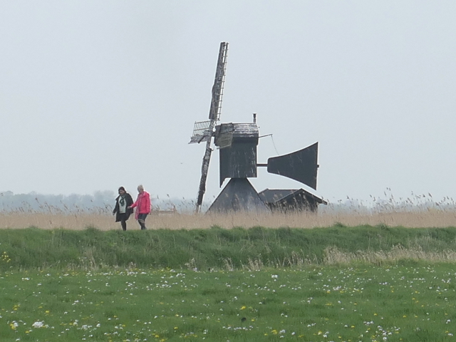 P1360454heiloo_z