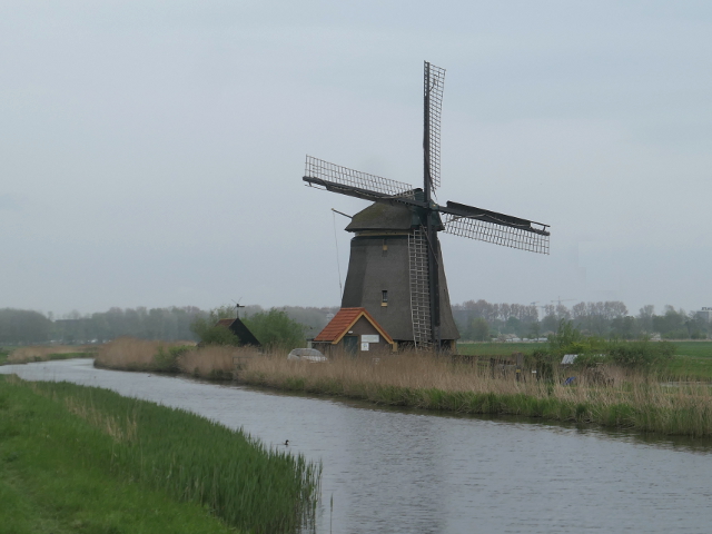P1360460egmondadhoef_z