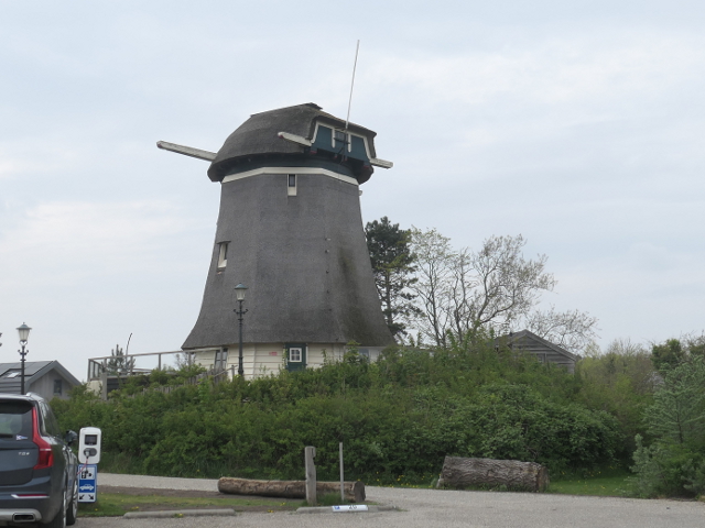 P1360461egmondadhoef_z
