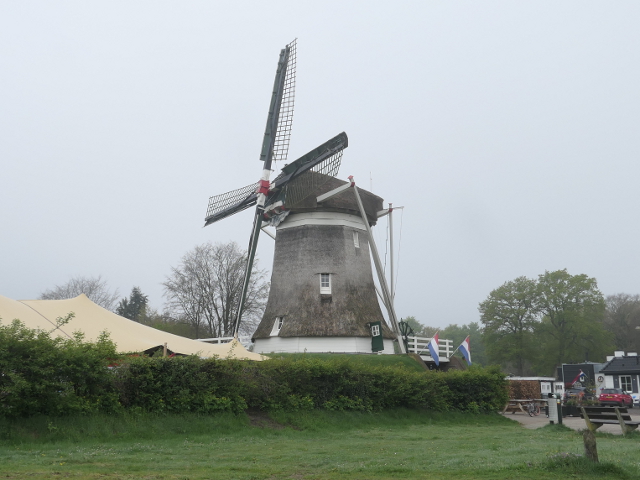 P1360472elspeet_z